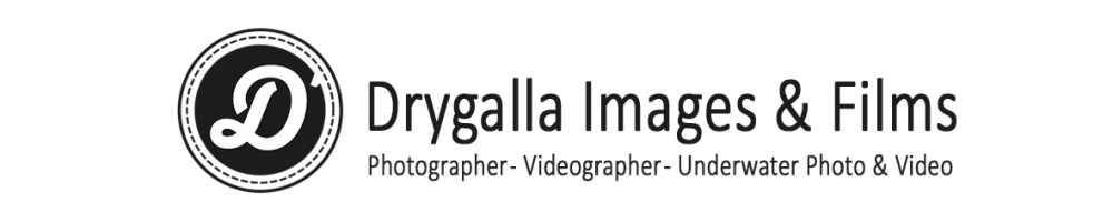D Image Factory - Atelier für Fotografie & Videografie